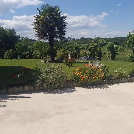 La Ardina Celorio *