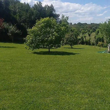 La Ardina *