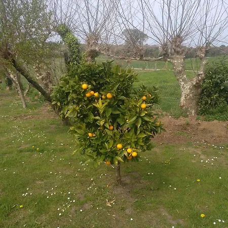La Ardina Apartamento Celorio (Llanes)