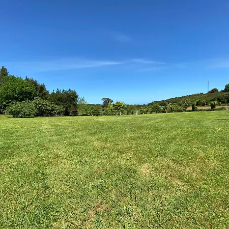 La Ardina Celorio (Llanes)
