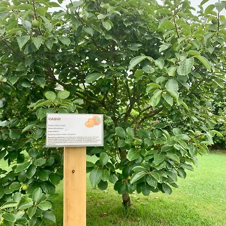 La Ardina Apartmán Celorio (Llanes)
