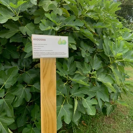 Apartmán La Ardina *